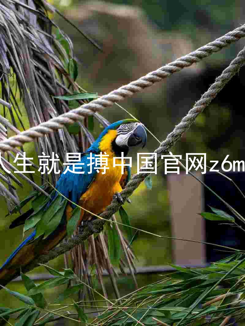 人生就是搏中国官网z6mg